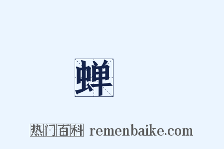 蝉緌是什么意思的图片